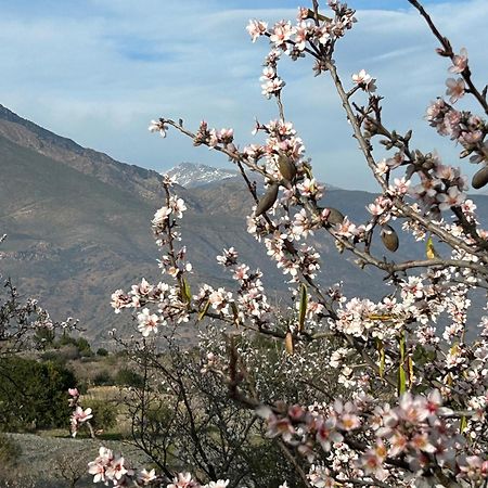 Cortijo Vacas Gordas B&B Castell de Ferro Eksteriør bilde